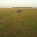 Ballonsafari_28012011_Masai_Mara_Nationalpark_Kenya_040.JPG