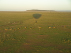 Ballonsafari, Masai Mara Nationalpark