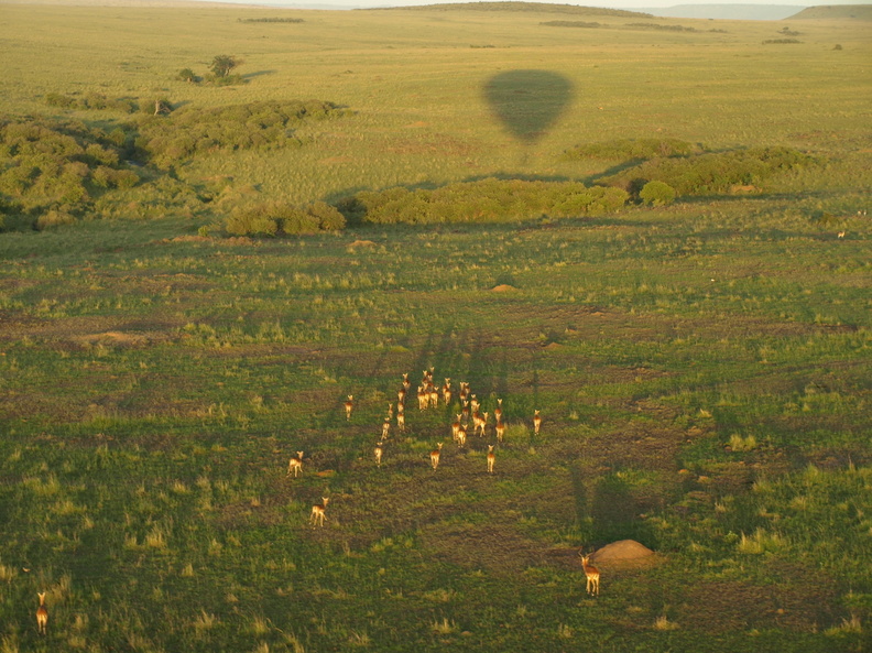 Ballonsafari_28012011_Masai_Mara_Nationalpark_Kenya_046.JPG