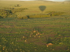 Ballonsafari, Masai Mara Nationalpark