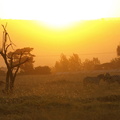 Solnedgang ved Nakuru Nationalpark