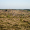 Brændt område i Stenbjerg Klitplantage