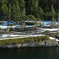 Indsejling med klipper - Oslo Fjord