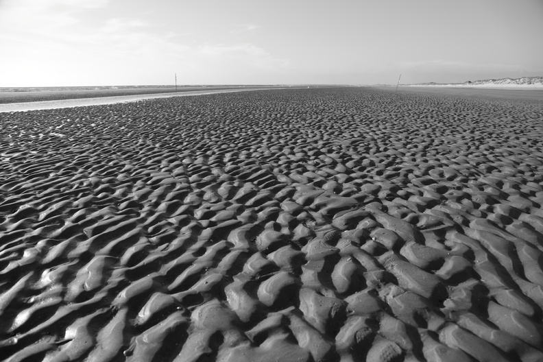 Sandstrand_Sand_Vadehavet_14102013_Ho_014.JPG