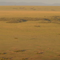 Mara_Serena_Safari_Lodge_29012011_Masai_Mara_Nationalpark_Kenya017.JPG
