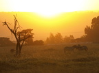 Solnedgang ved Nakuru Nationalpark
